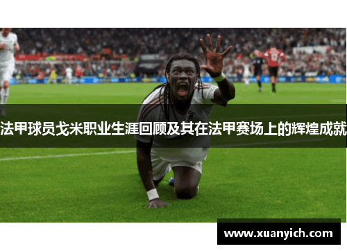 法甲球员戈米职业生涯回顾及其在法甲赛场上的辉煌成就