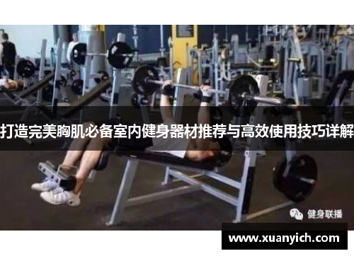 打造完美胸肌必备室内健身器材推荐与高效使用技巧详解