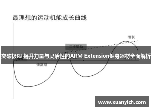 突破极限 提升力量与灵活性的ARM Extension健身器材全面解析
