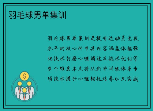 羽毛球男单集训